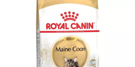 Royal Canin Maine Coon - 2 kg ansehen