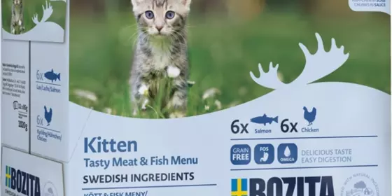 Bozita Pouch Häppchen in Soße Lachs & Fleisch Kitten MP 12x85g ansehen