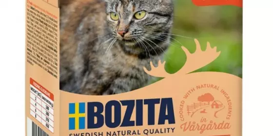 Bozita Cat Tetra Recard Häppchen in Gelee Lamm 370g ansehen