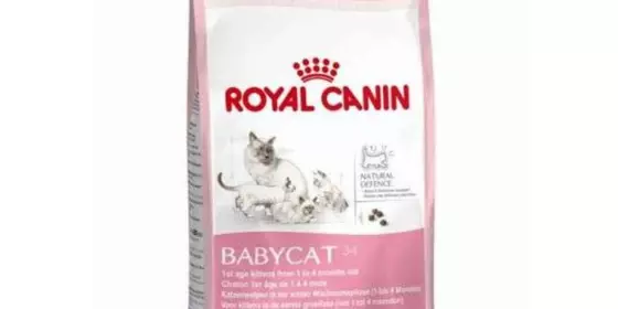 Royal Canin Babycat - 2 kg ansehen