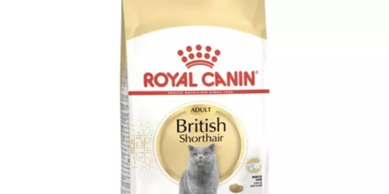 Royal Canin British Shorthair - 400 g ansehen