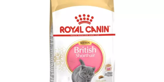 Royal Canin Feline Kitten British Shorthair - 400 g ansehen