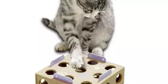 Karlie Smart Cat Activity Box mit Rasselball ansehen
