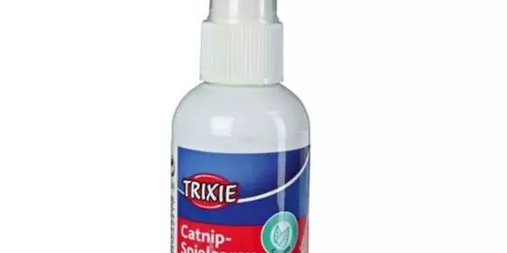 Trixie Catnip-Spielspray - 50 ml ansehen