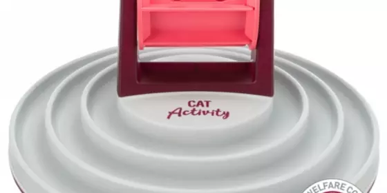 Trixie Cat Activity Roller Bowl ansehen